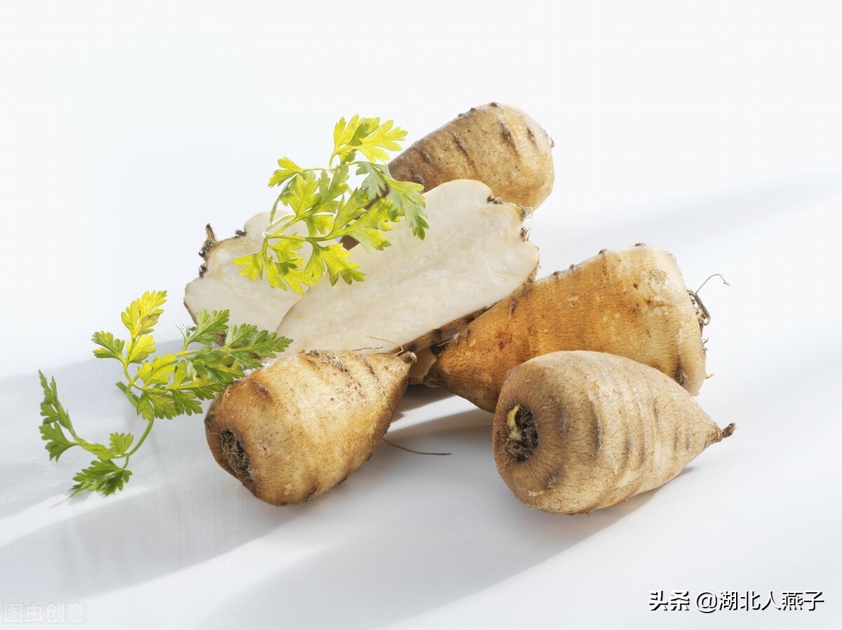 常见野菜的种类和图片大全 (各种野菜大全带图片)