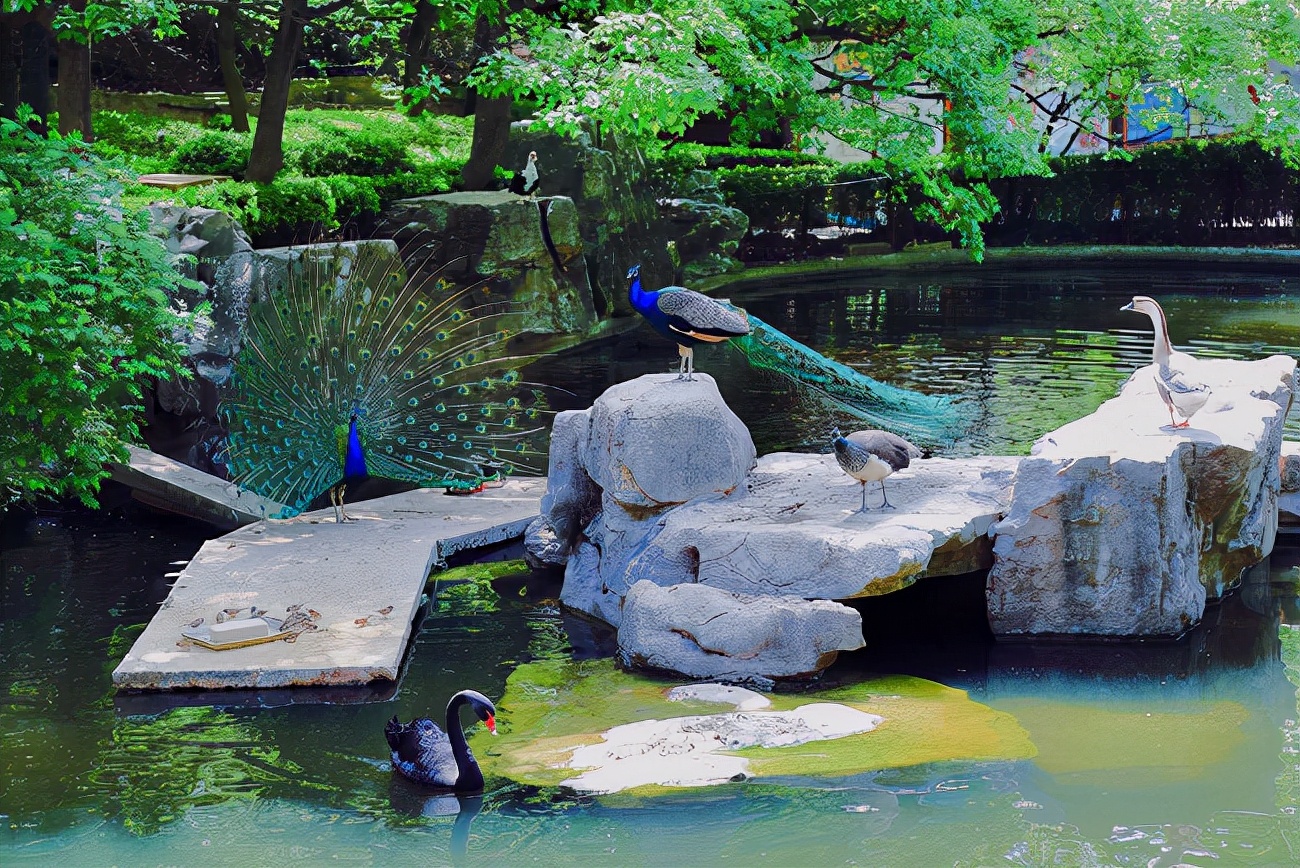 济南遛娃室内去哪里玩,济南遛娃好玩的地方