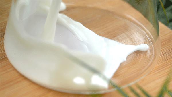 千万网红推荐的牛奶真的好喝吗,网红最好喝的纯牛奶