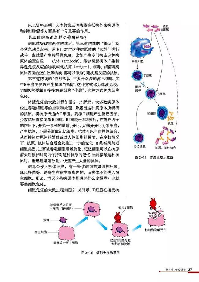 高中生物选择性必修3知识点,高中生物必修三课本电子版