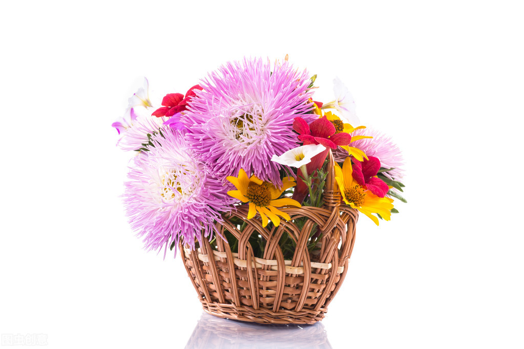 感谢老师教育之恩的诗句,感谢老师辛苦付出简短而真实诗句