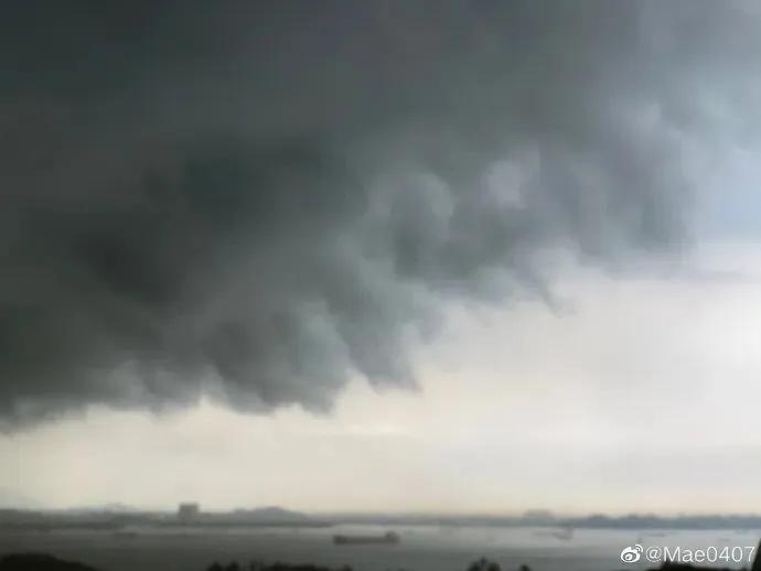 南方暴雨过后的水蚁有多可怕,暴雨后大水蚁怎么处理