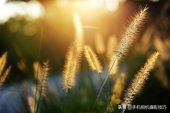 手机拍照下边的三个键在哪里设置,手机拍照的三个按键