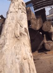 搞笑gif趣图妹子快现出原形吧,搞笑gif妹子你这发型挺别致