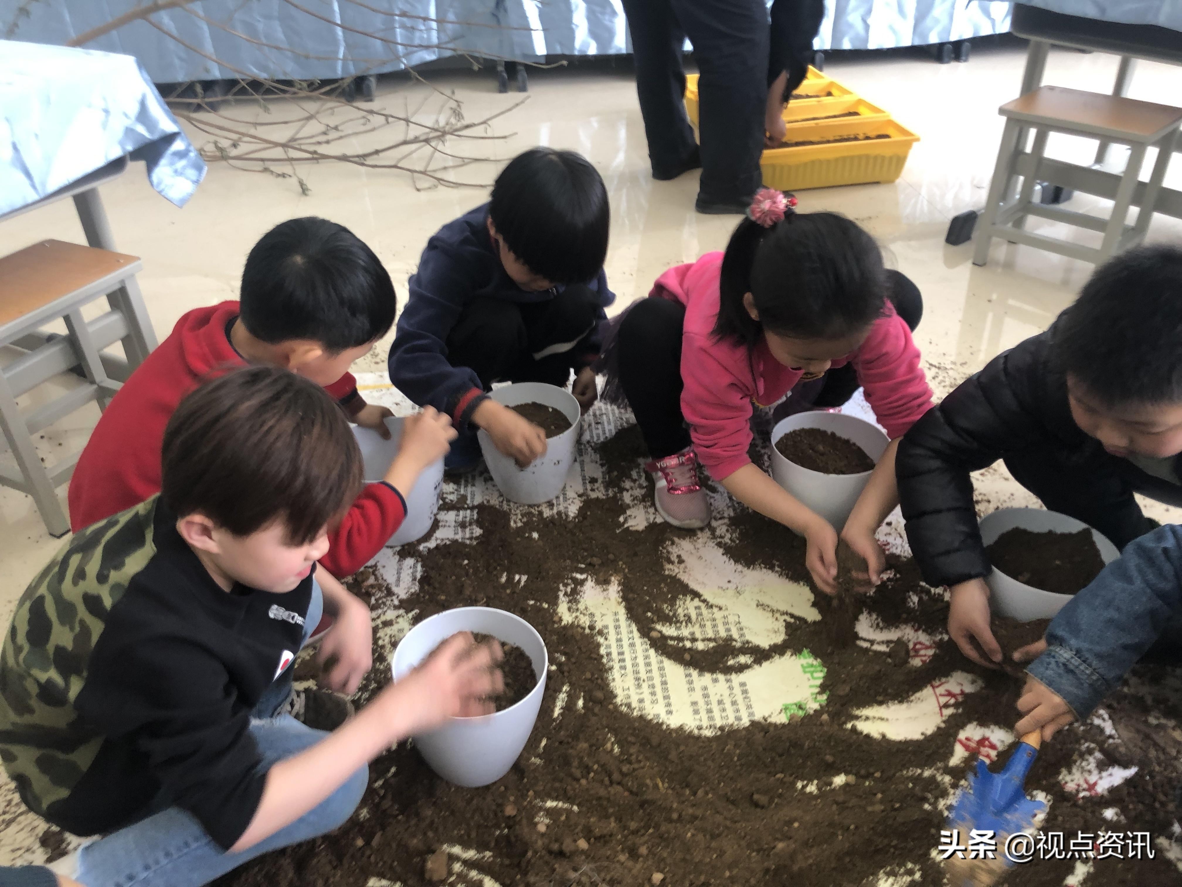 教育即生活以儿童为中心,教育即生活视频