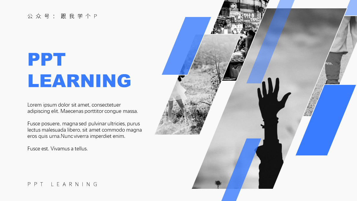 ppt10个目录太多怎么排版,图片太多的ppt怎么排版