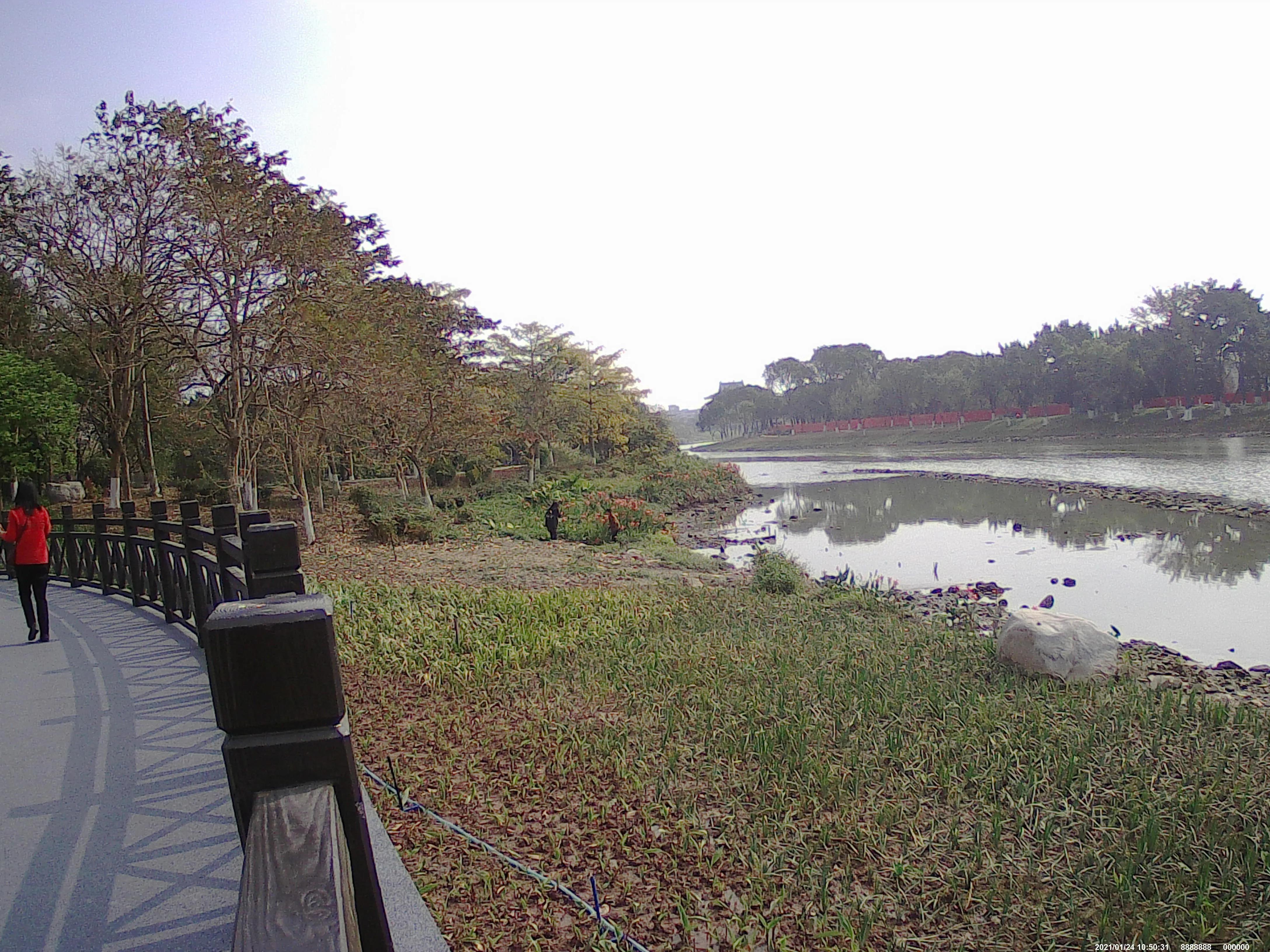 广州海珠湖,海珠湖变化