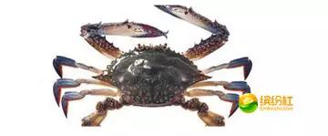 舟山海鲜代加工攻略,最全舟山海鲜攻略