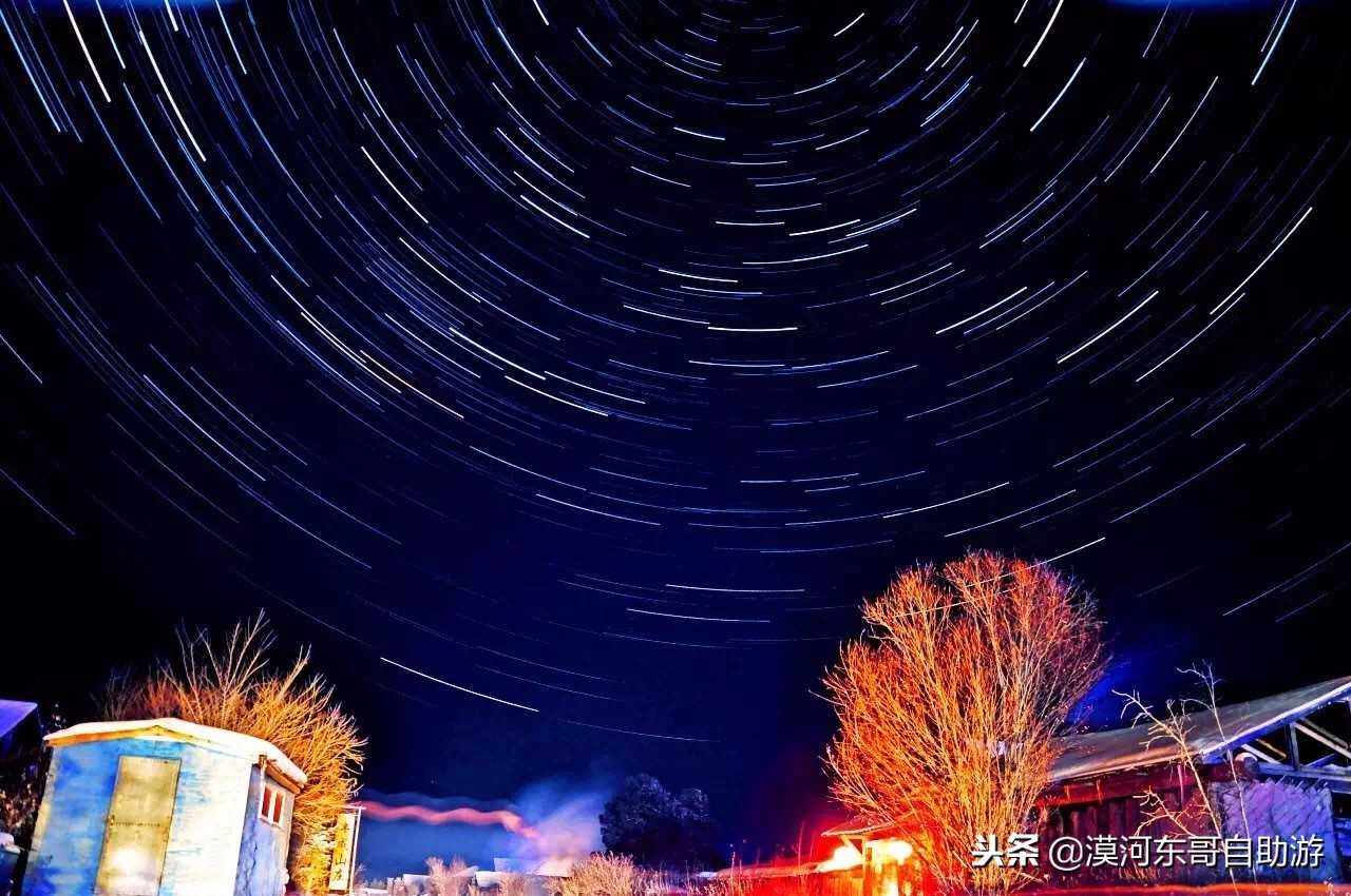 漠河极寒之旅,漠河遇到熊