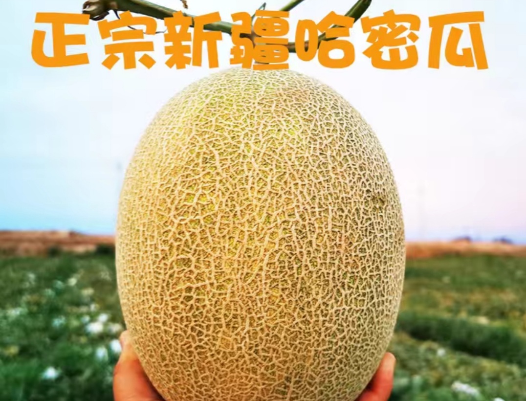 新疆吐鲁番火焰山脚下的哈密瓜,新疆葡萄沟吐鲁番的火焰山