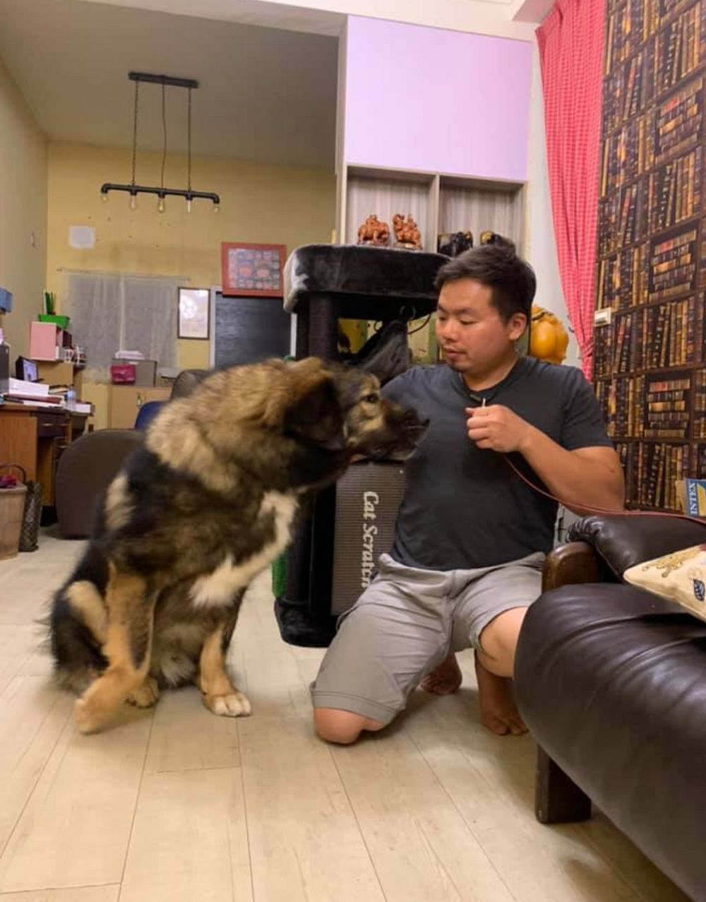 狗狗在家捡到钱,狗狗在家里居然可以挣那么多钱