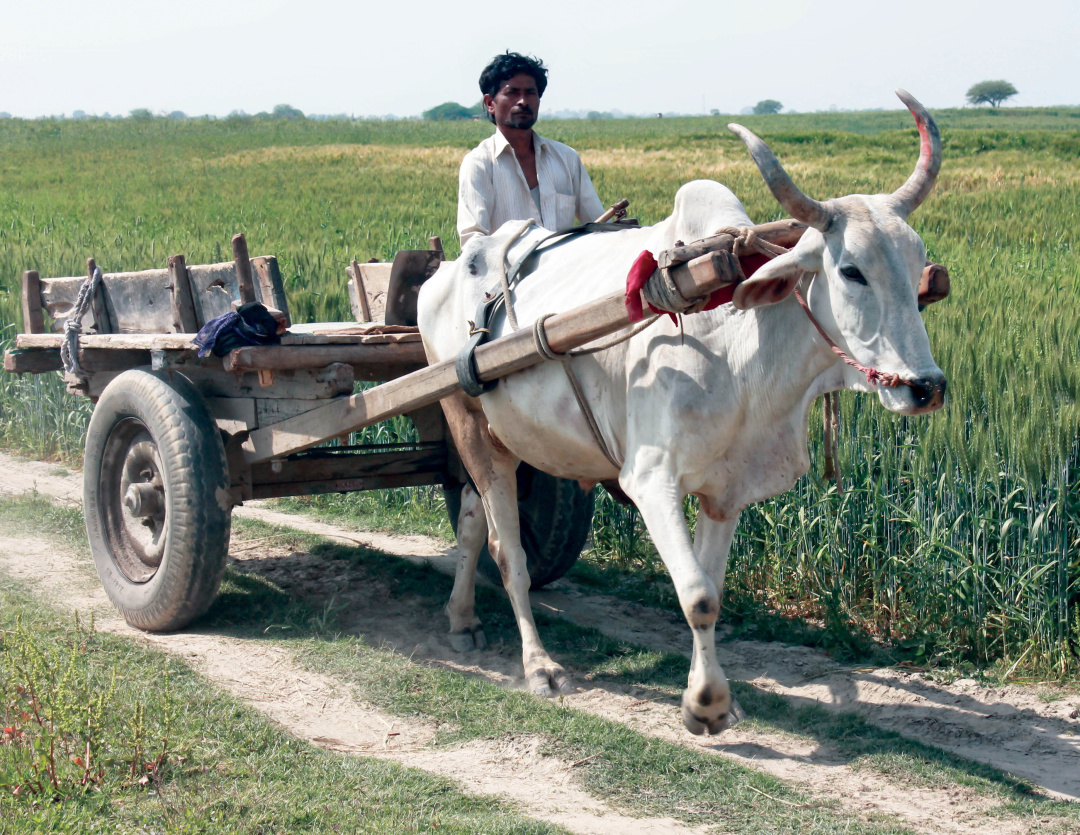 印度公路的成就,印度公路那么差劲吗