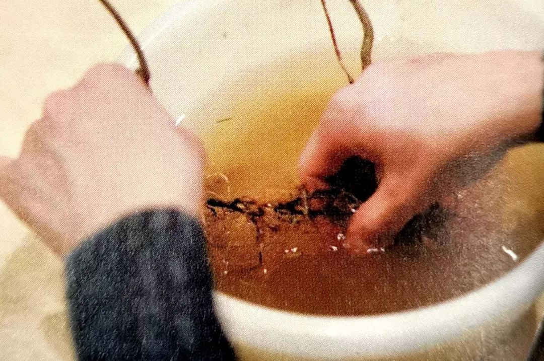 盆景制作方法与技巧,盆景制作小技巧