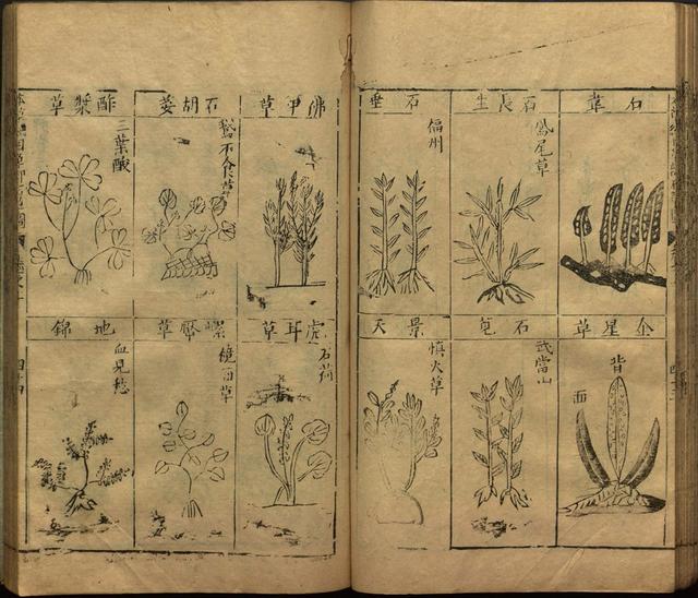 李时珍与本草纲目ppt课件,神农本草经正版李时珍书籍