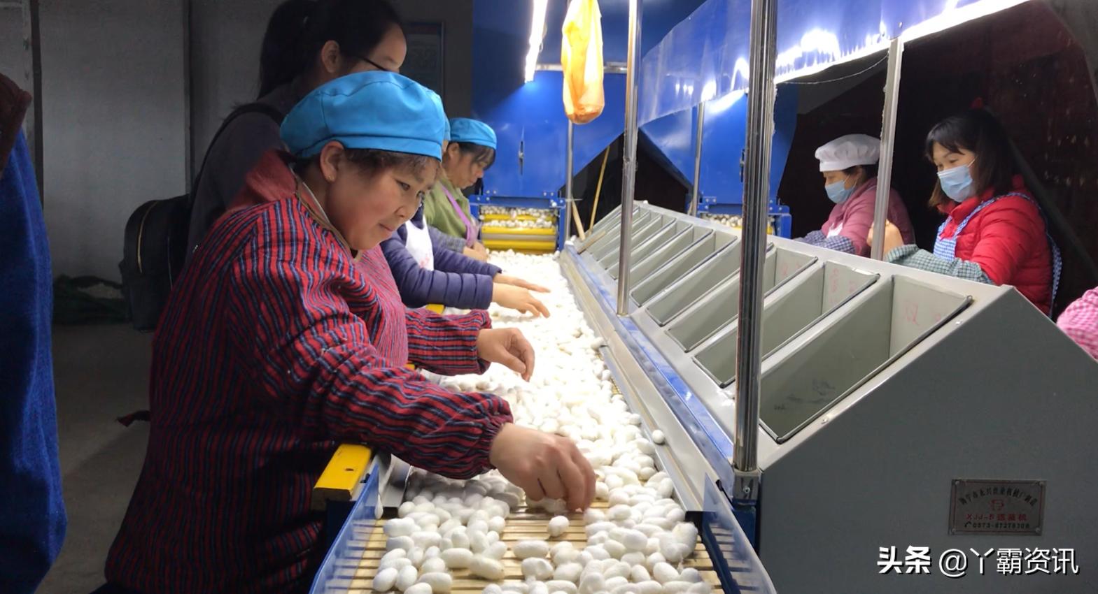 荔波县发展怎么样,荔波工业园