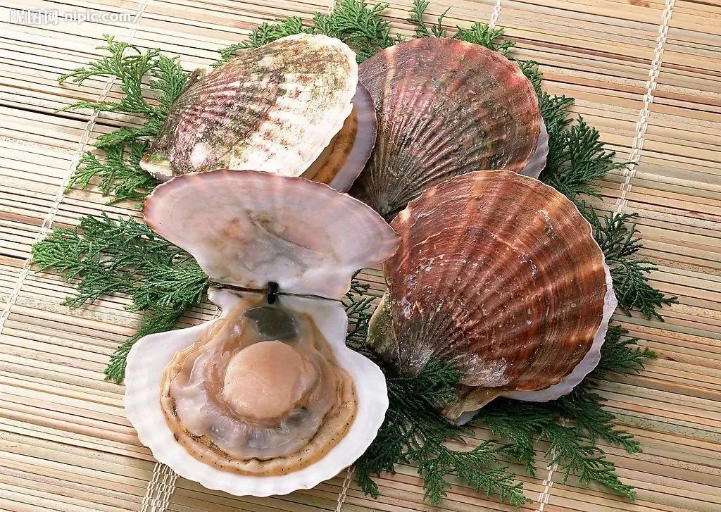 有一种炫富叫辽宁开海,在山东有一种炫富叫开海