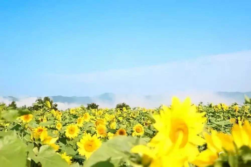 户撒佛祖的后花园现在怎么走,户撒为什么叫佛祖后花园