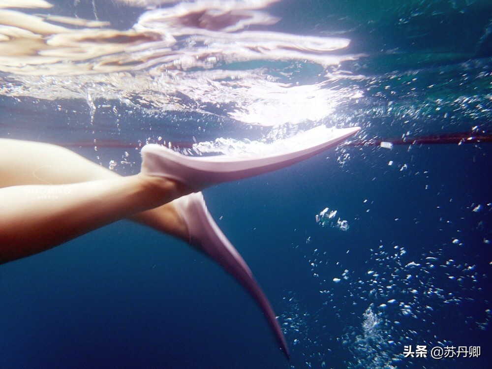 潜水多危险,自由潜水极限运动危险程度