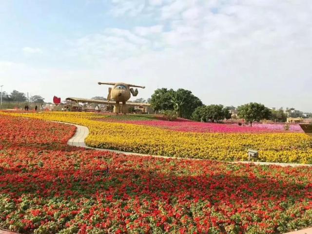 从化财富温泉度假酒店拍照,从化温泉财富酒店