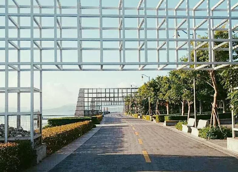 深圳湾公园这里有什么好吃的,深圳湾在哪里