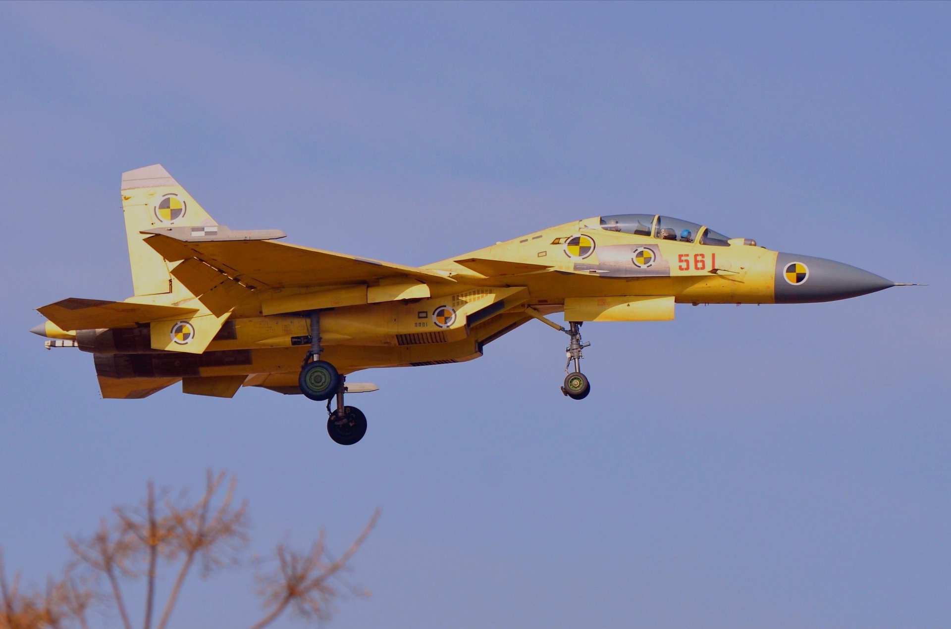 中国战斗机歼15飞鲨,歼15d电战鲨