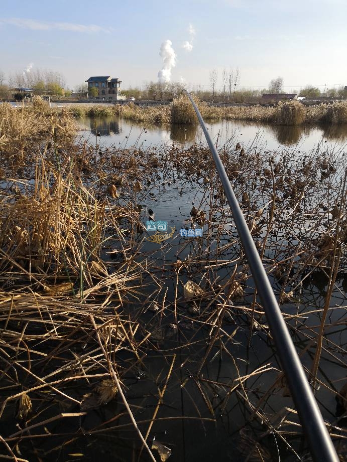 传统钓长竿收缩1米和1.2米哪个好,传统钓长竿公认性价比最好鱼竿