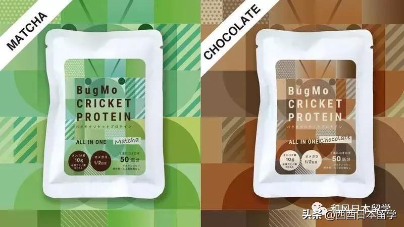 日本昆虫拉面自助售卖机,日本活体昆虫自助售卖机