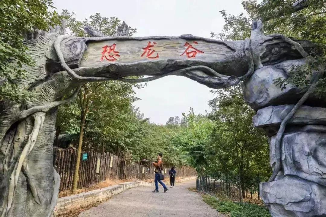 广州好玩景点蹦床乐园排名,广州最好玩的蹦床公园琶洲