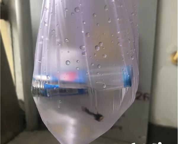 烫睫毛辅助工具棉签,棉签烫睫毛烫到眼睛