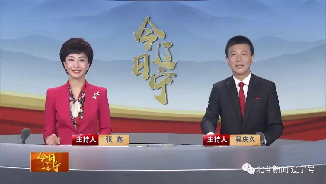 辽宁卫视今日节目预告,辽宁卫视在线观看直播鞍山