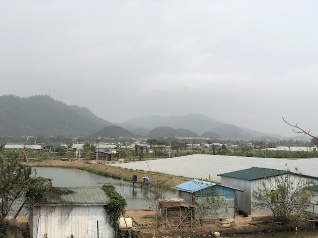 农村玉米秸秆窝棚,石棉瓦窝棚