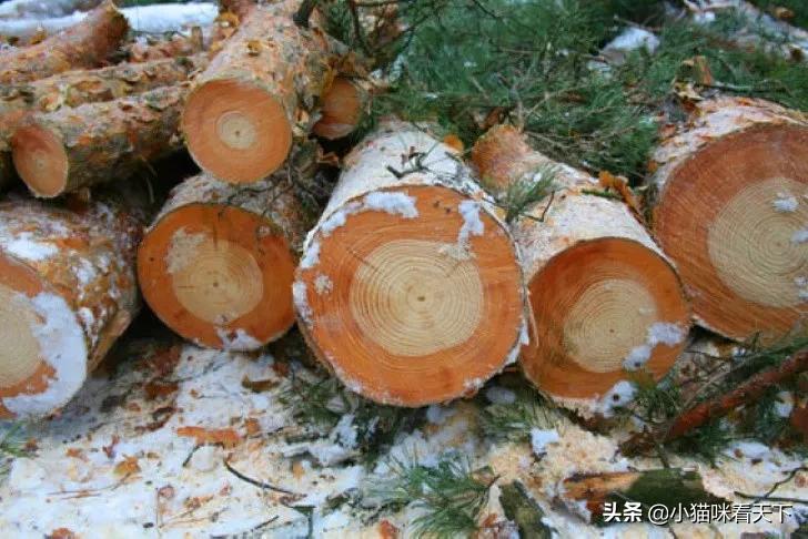 世界之大无奇不有各种各样的事情,无意中看到世界之大无奇不有