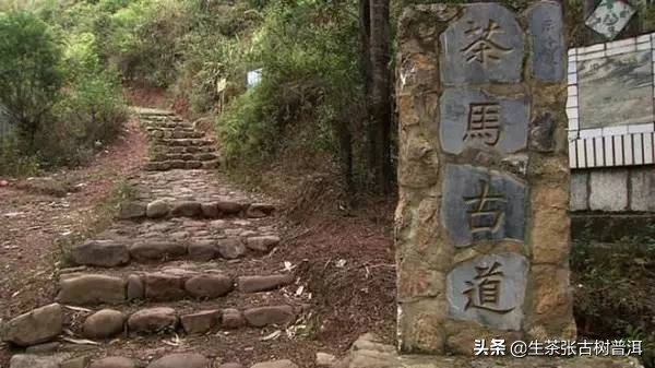 浅谈普洱茶与茶马古道的联系,茶马古道见证了普洱茶的历史