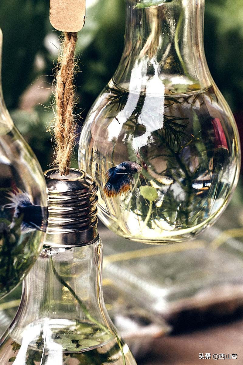 一起去旅行马来西亚,马来西亚亚庇特色市集