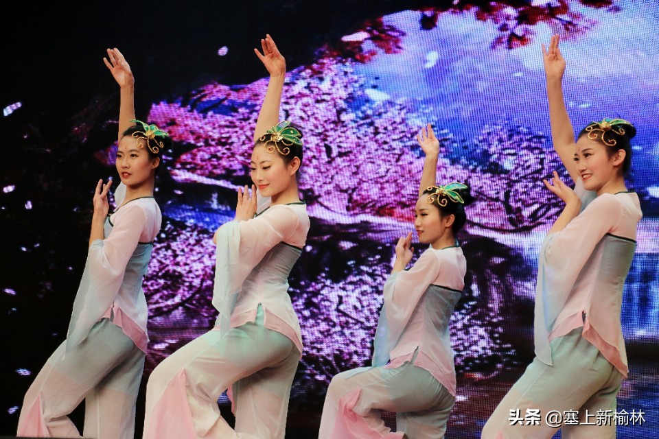 榆林二中2019年艺考,榆林二中2021艺体升学率