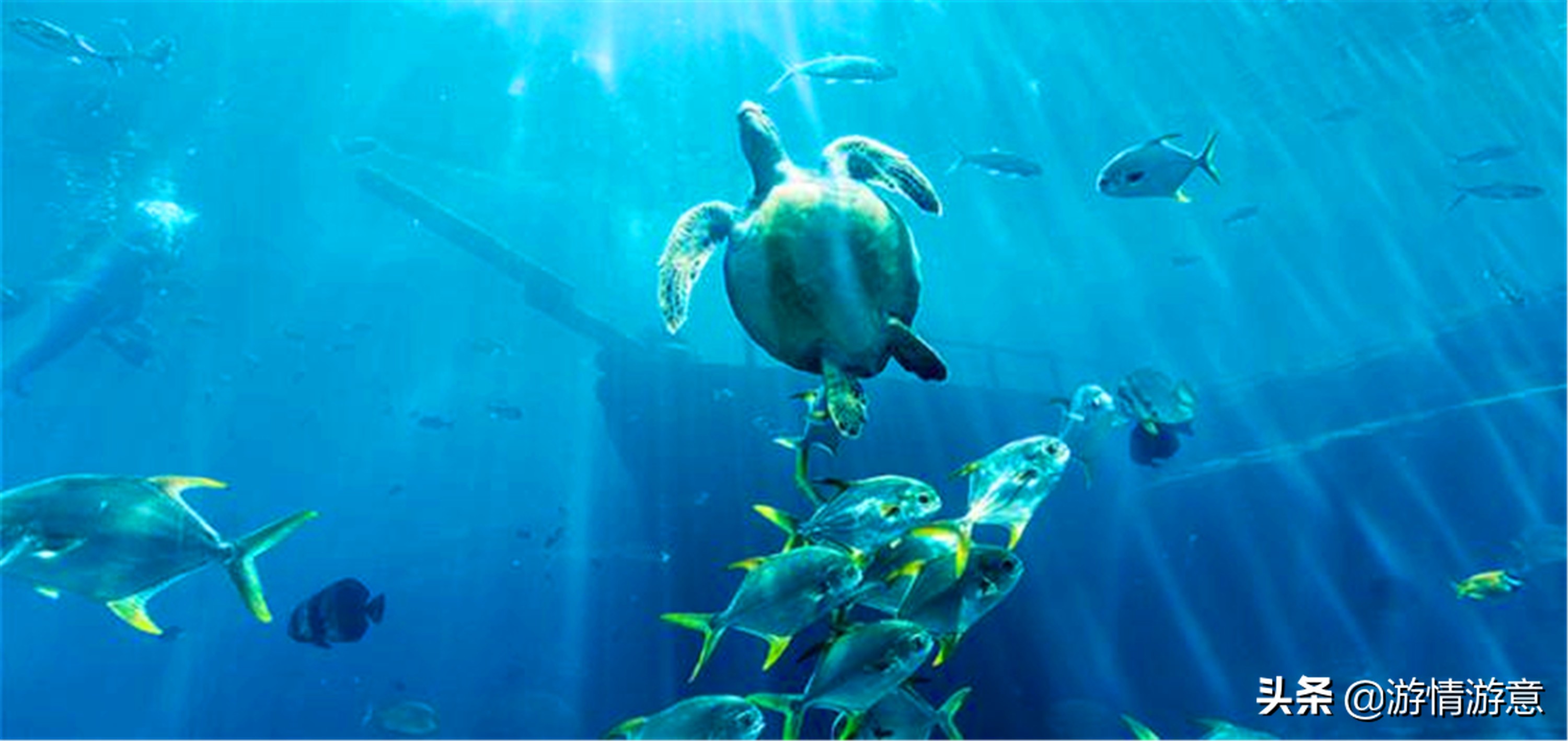 一家三代去旅行,一家三代旅游的感受