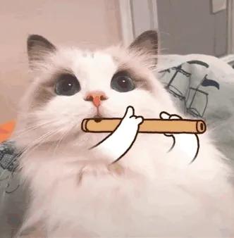 税务师证书申领天津,税务师申领证书审核状态