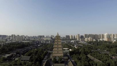 紫色长袍兵马俑,紫色衣服兵马俑