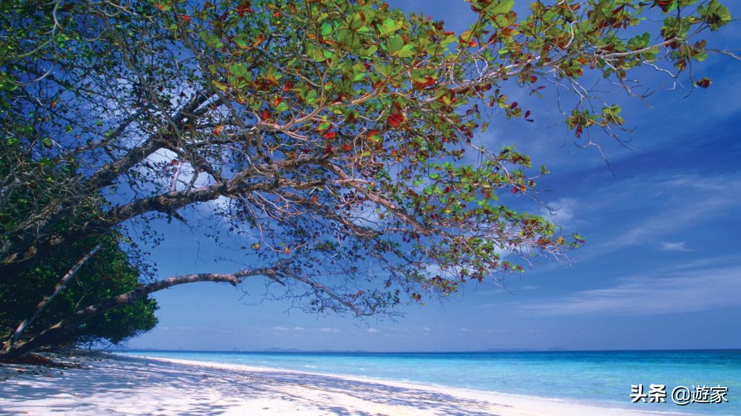 泰国哪些海岛值得去旅游,泰国岛屿排名前十海岛