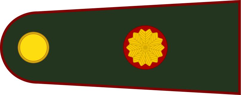 各国军衔标识俄罗斯,各国军衔标识