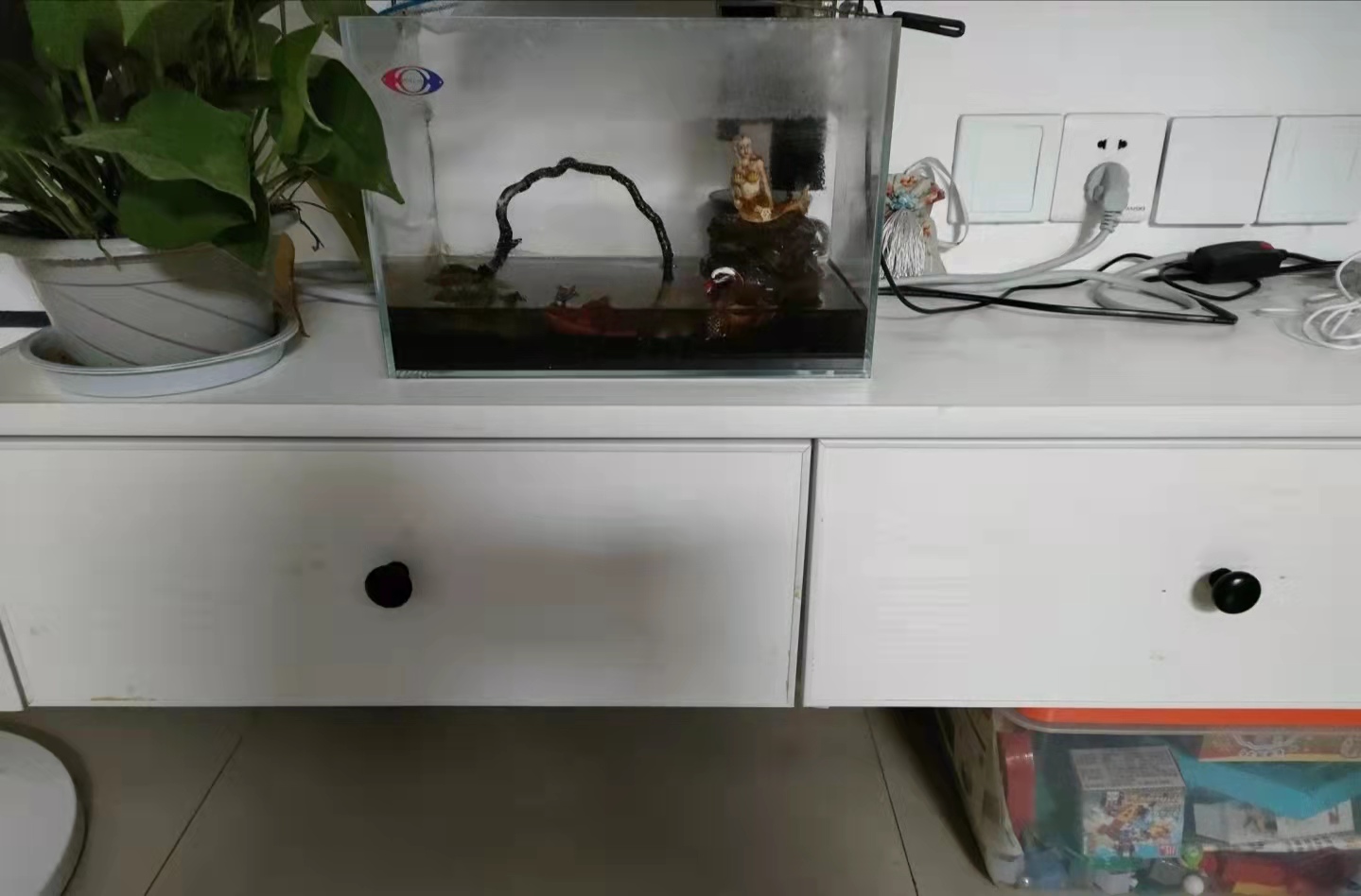 鱼缸搬家攻略视频,鱼缸搬家