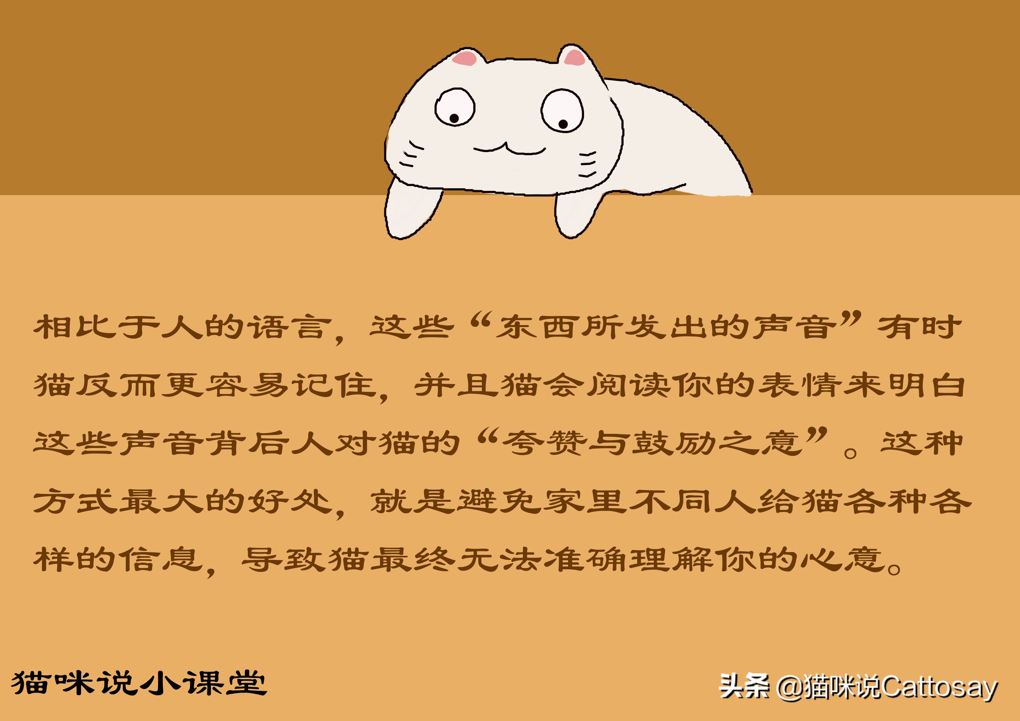 怎么训练猫咪才会让猫咪说话,夸猫怎么夸