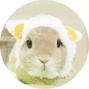 关于古董漆器小件,贾松都分享了什么?|新室相