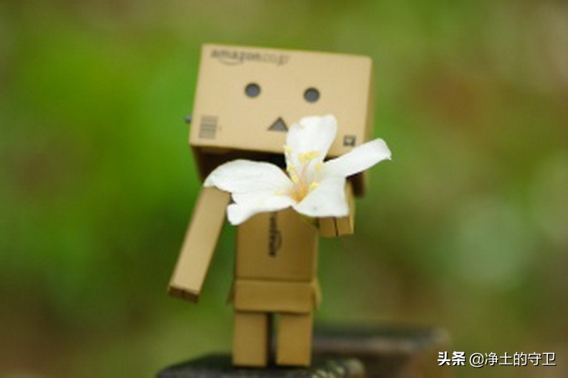 女孩子的心思脆弱又敏感,其实女孩子的心思也不难猜