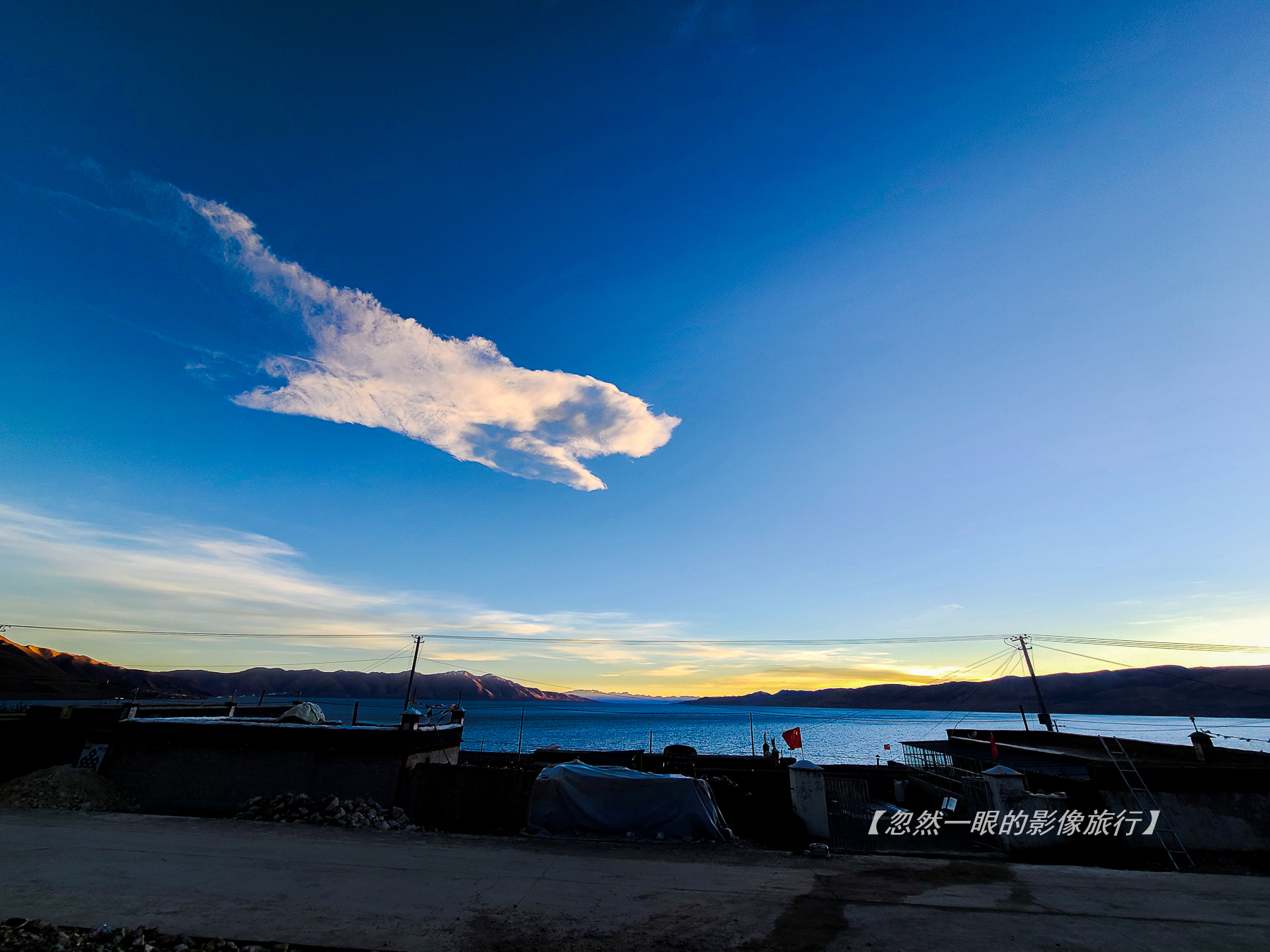 阿里无人区野狼出没,阿里无人区狐狸