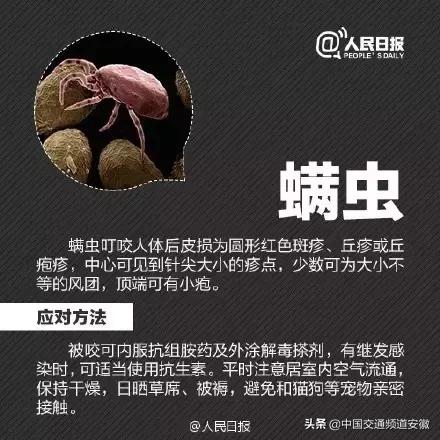 安医大二附院最新消息今天,安医大二附院住院部最新消息