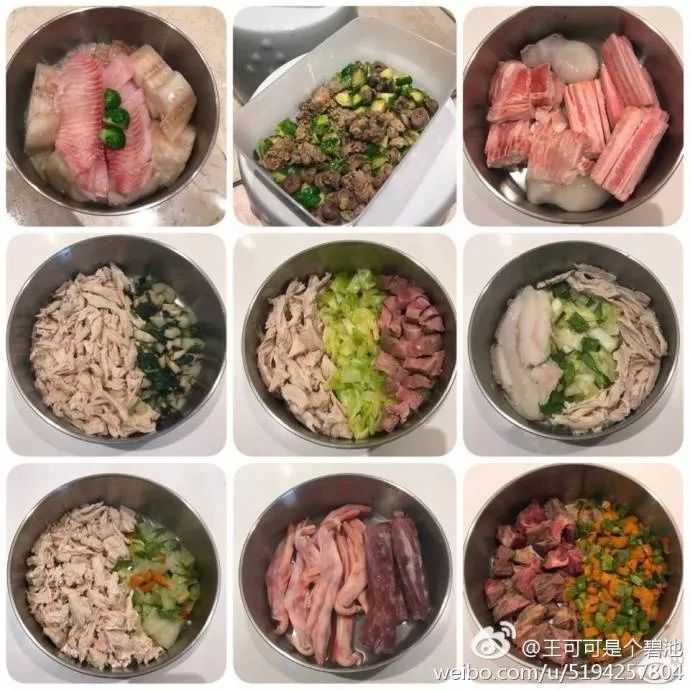 哪些明星养猫最好养,盘点明星们养的宠物