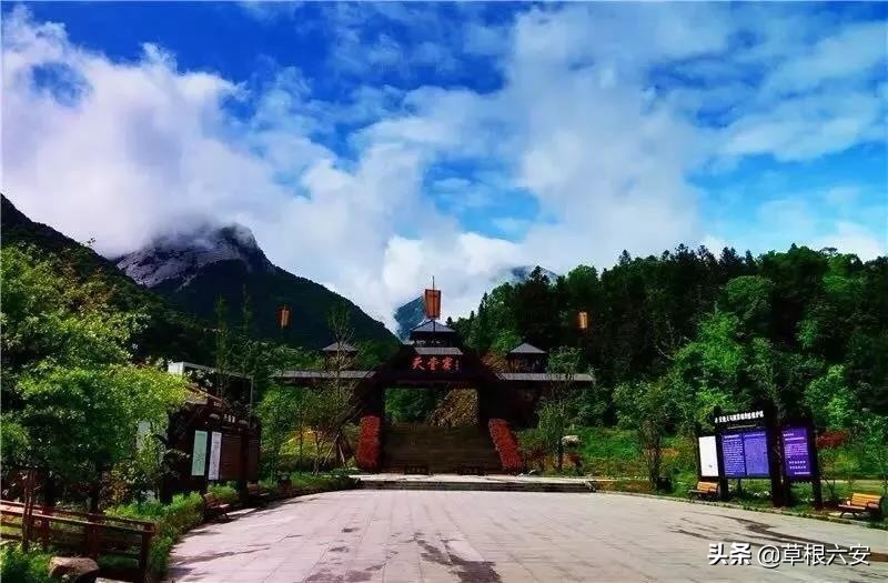 不输黄山迎客松的迎客松,不输黄山的景点