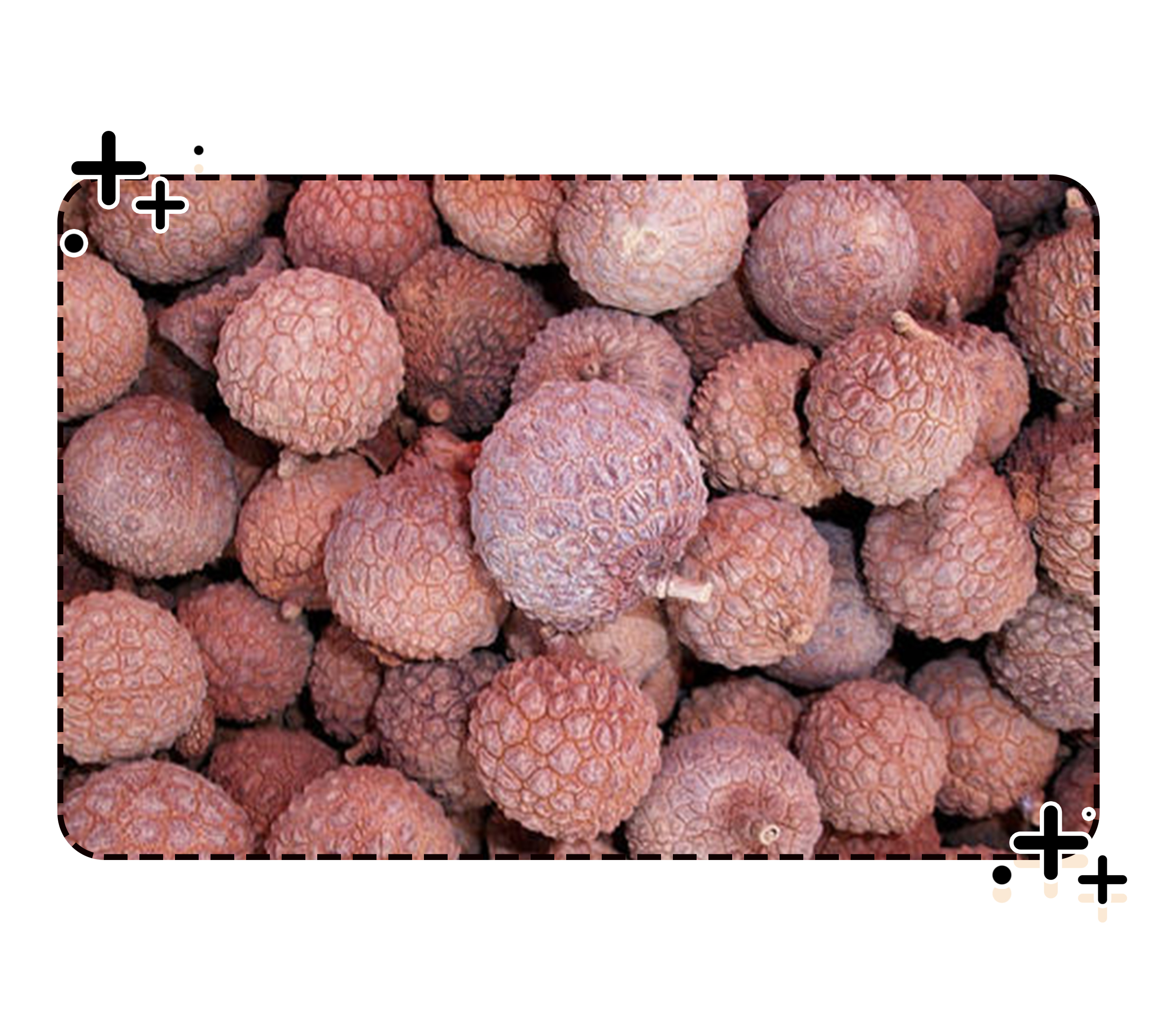 荔枝控们有多疯狂？为了阻止荔枝“自杀”费尽心机（菲李漫画）