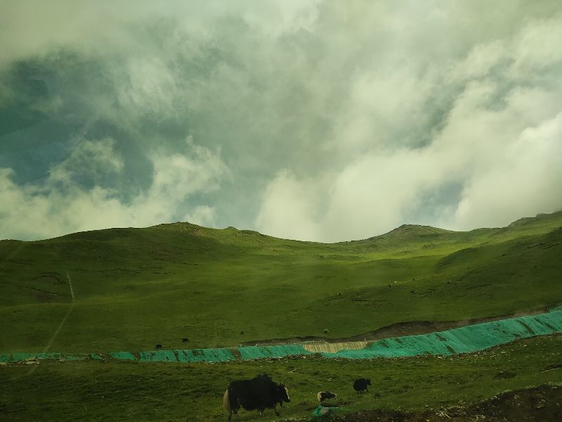 减肥日记day113,川西小环线过夹金山